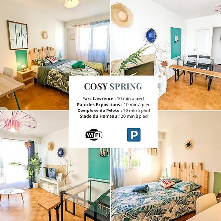 Cosy Spring 2Ch - Place Verdun - Stationnement Gratuit Pau Eksteriør billede